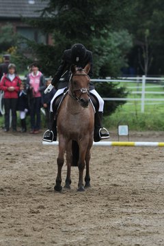 Bild 245 - WBO-Turnier am 18.9.11